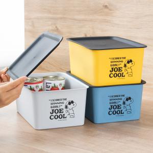 収納ボックス S 幅19×奥行27×高さ12cm...の商品画像