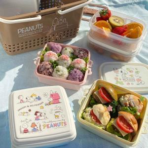 スケーター 弁当箱 運動会 行楽ランチセット ハローキティ Red Heart