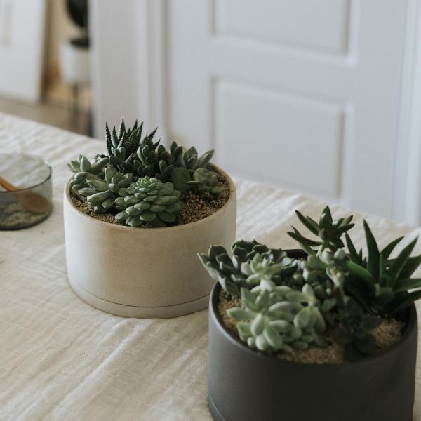 KINTO キントー プラントポット 191_ 170mm （ 191 17cm 6号 植物用ポット...