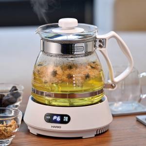 象印（ZOJIRUSHI） 漢方 煎じ器 文火楽々 とろびらんらん 薬膳