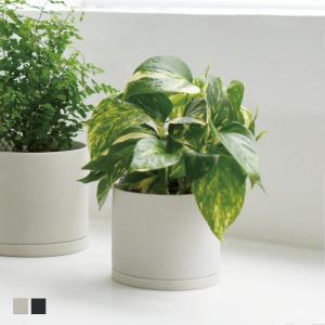 KINTO キントー プラントポット 191_ 105mm （ プランター 10.5cm 磁器 植木鉢 鉢植え フラワーポット 3号 鉢 ）