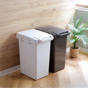 東谷 ゴミ箱 おしゃれ 屋内 屋外 分別 45L 大型 ふた付き アメリカン