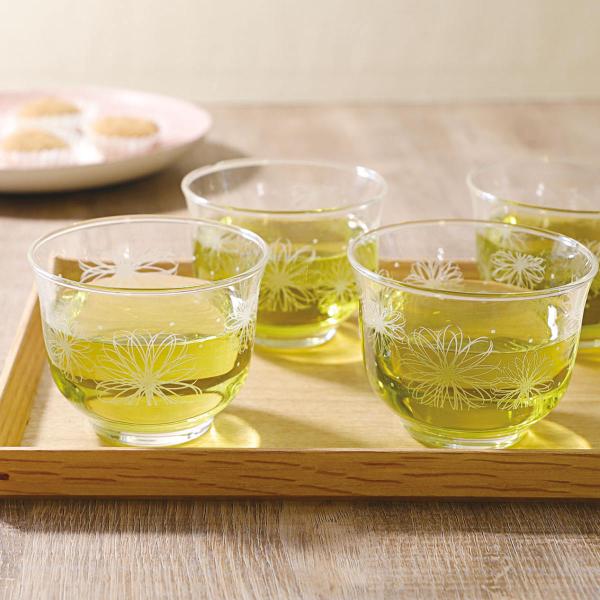 グラスセット 205ml 冷茶 ガラス （ 食洗機対応 グラス 冷茶グラス 来客用 コップ ）