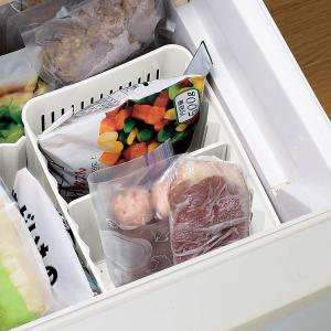 パール金属 冷蔵庫収納 スキット 冷凍庫用ボックス 仕切り付き