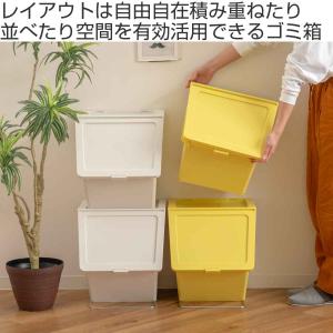 ゴミ箱 ふた付き 38L ペリカンガービー p...の詳細画像1