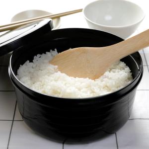 おひつ 2合 SUMINO ご飯が炊けるおひつ （ 電子レンジ炊飯器 炊飯 1合炊き 2合炊き 電子レンジ対応 食洗機対応 日本製 保存容器 ）