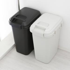 東谷 ゴミ箱 30L 30リットル 蓋付き 屋外用 室内 おしゃれ 密閉
