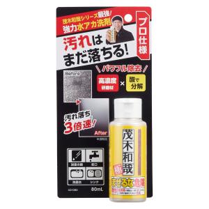 LEC（レック） 水垢落とし クレンザー 80ml 極タイプ お試しサイズ
