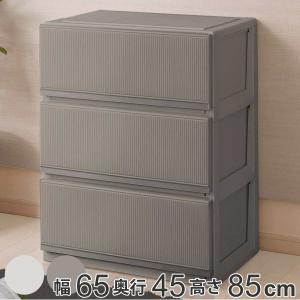 天馬 PROFIX スタイルケース 3段深型 6503 幅65cm （ チェスト