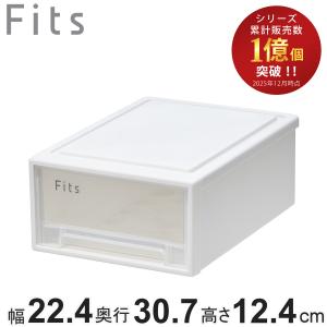 天馬 収納ボックス フィッツケース 小物収納 幅22.4×奥行30.7×高さ12.4