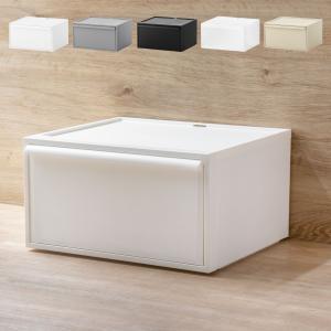 特典付き 収納ケース クローゼットシステム ワイド 引き出し M 幅45×奥行39.5×高さ24.7cm （ 収納 クローゼット 衣類収納 ）