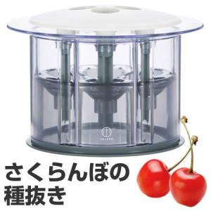 さくらんぼ用種抜き　チェリー種取り器 （ さくらんぼ 種取り 種とり キッチンツール ）