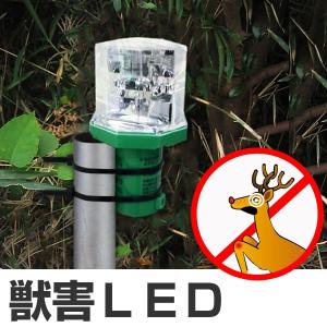 BaSt-Ing バスティング インパクトレンチ用 特殊くさび VAL FIX 適応