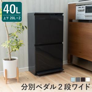 ゴミ箱 40L 2段 薄型 ペダル式 ワイド 分...の商品画像