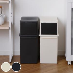 ゴミ箱 17L 浅型 システムダスト 本体 ( ...の商品画像