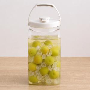 梅酒容器 保存容器 果実酒びん S型 4.0L （ 梅酒びん プラスチック 梅酒瓶 果実酒瓶 軽量 丈夫 日本製 角型 ）