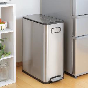 Hailo（ハイロ） エコトリオプラスL ゴミ箱 27L 四角型 ステンレス
