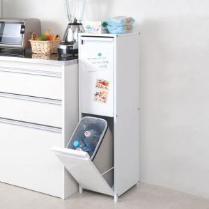 分別ゴミ箱 幅27cm 15リットル2分別 スチール製 ダストボックス