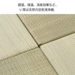畳 置き畳 フローリング 約3畳 い草 イ草 ...の詳細画像5