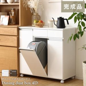 分別ペールカウンター 　ダストボックス 最大5000円OFFクーポン】 ダストボックス カウンター 2分別 ゴミ箱