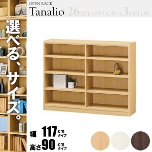 オープンラック 幅120 高さ90 タナリオ tnl-90117 収納 本収納 ラック