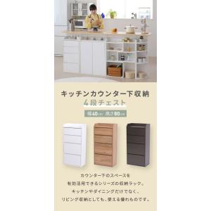 カウンター下収納 薄型 ミニ チェスト ローチ...の詳細画像1