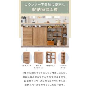 カウンター下収納 薄型 ミニ チェスト ローチ...の詳細画像2