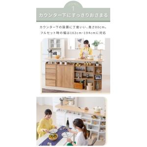 カウンター下収納 薄型 ミニ チェスト ローチ...の詳細画像3