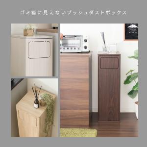 送料無料 プッシュ式ダストボックス 幅25cm...の詳細画像1