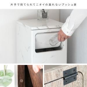 送料無料 プッシュ式ダストボックス 幅25cm...の詳細画像2