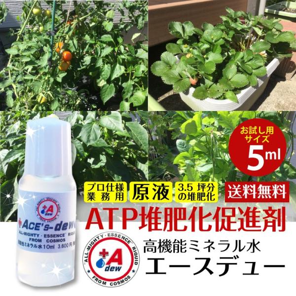堆肥化促進剤 お試し用 土作り 有機 ＡＴＰ 堆肥化 促進剤 家庭菜園 オーガニック 有機肥料 野菜...