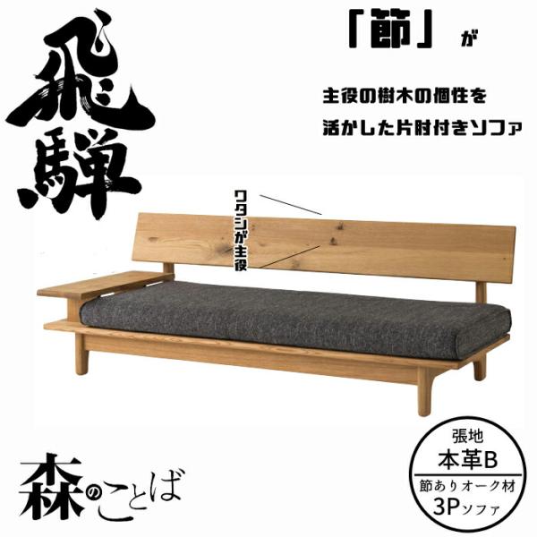 【開梱設置無料】HIDA 森のことば 片肘付きソファ 3人掛け（194cm） 張地本革B オーク材 ...