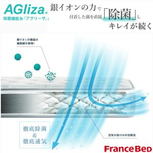 【正規代理店】フランスベッド ソファベッド ス...の詳細画像4
