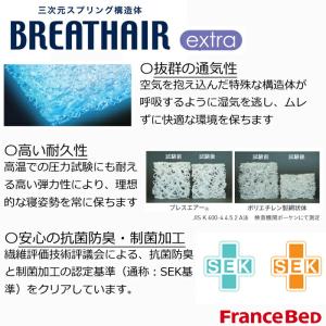 【正規代理店】フランスベッド ソファベッド ス...の詳細画像5