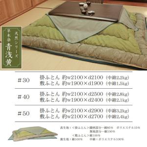 【日本製】アサヒ ふっくらこたつ布団 青浅黄 ...の詳細画像4
