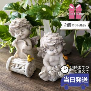 送料無料 鹿の角 小サイズ ペア 60センチ以下の鹿の角 えぞ鹿の角