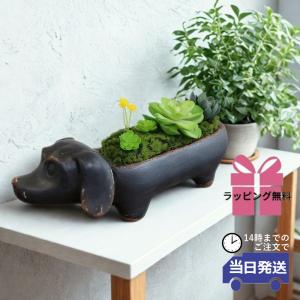 置物 犬 かわいい 動物 玄関 お座りダックスフンド ブラックタン