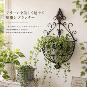 アイアン ウォールプランター 壁掛けプランター...の詳細画像1