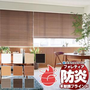 タチカワブラインド タチカワ ロールスクリーン ロールカーテン ラルク