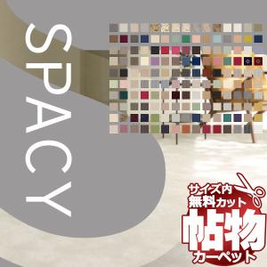 カーペットの実物サンプル生地で質感を確かめよう 送料無料 カーペット 通販 シンコール カーペット