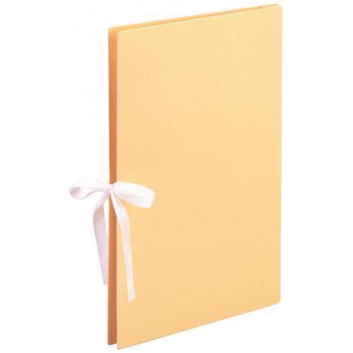 美濃商会 カラーエイナーファイルA4Ｒ EＸ 1363 1冊