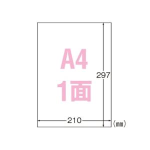 エプソン プロフェッショナルフォトペーパー薄手光沢 PXMC36R12 1本