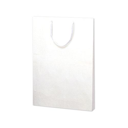 ササガワ 手提げ袋 額縁用 10枚 50-6799