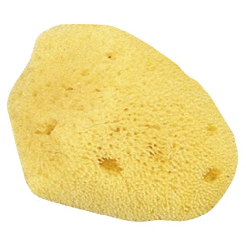 クラウン 天然海綿（小） CR-SG130-AM 1個