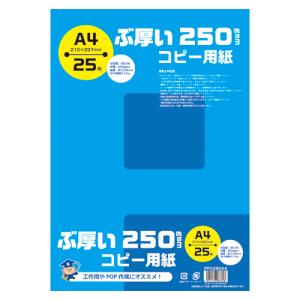 ヒサゴ ベストプライス版 納品書 BP0105 1箱 : イーヅカ - 通販