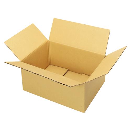 山田紙器 段ボールケース100サイズ ダンボールケース100サイズ 1甲
