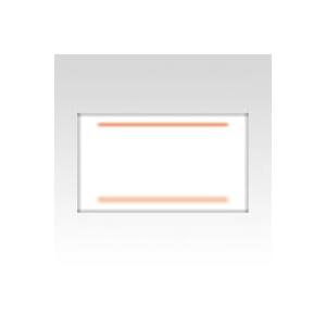 サトー ＰB用ラベル 2本線 10巻入 200 PB-3