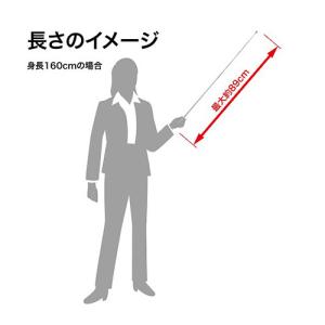 オープン ポインター PT-120 1本の詳細画像1