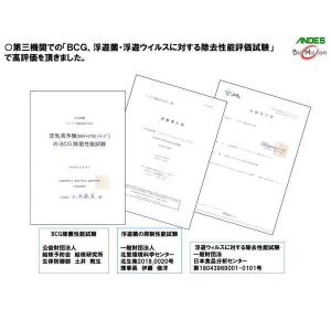アンデス電気 空気清浄機 バイオミクロンサーク...の詳細画像5