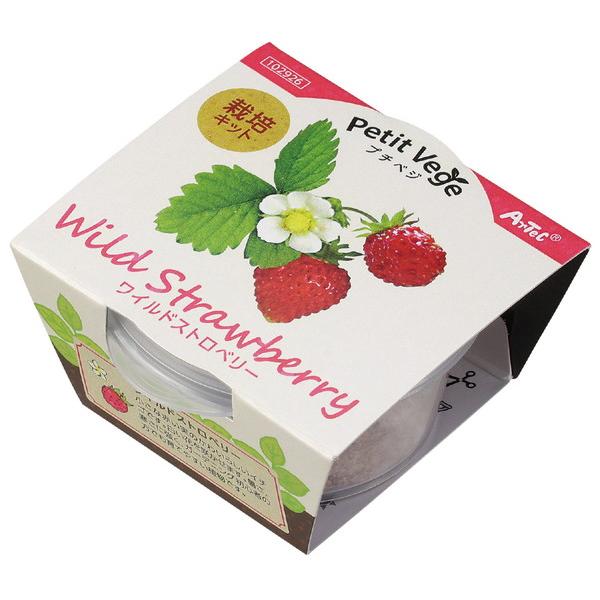 アーテック プチベジ ワイルドストロベリー 102926